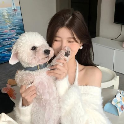 狐狸的夏天2